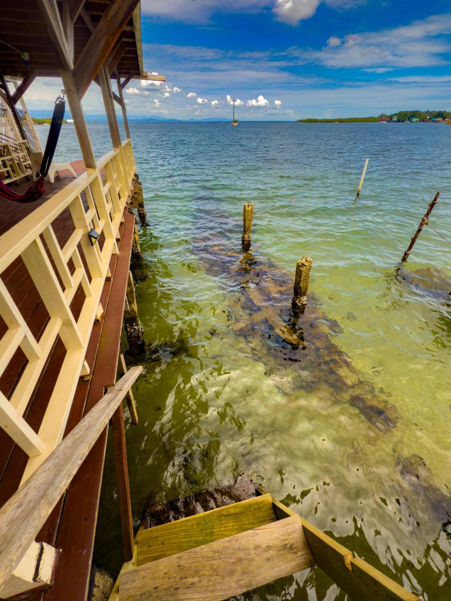 Saigon Bay Bed & Breakfast Bocas del Toro Habitación foto